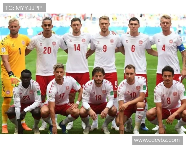 丹麦国家足球队最新球员名单及其表现分析